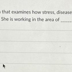 Dr smyth conducts research that examines how stress