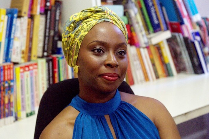 My mother the crazy african by chimamanda ngozi adichie