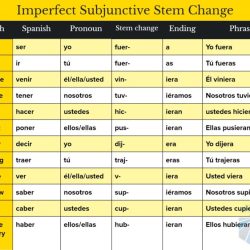 Adjective clauses spanish